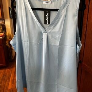 Zeagoo Women's Sky Blue V-Neck Blouse